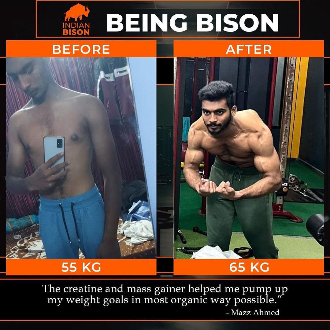 Indian Bison