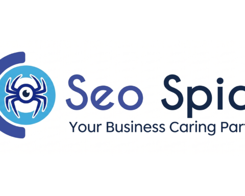 SEOSpidy Web Solution